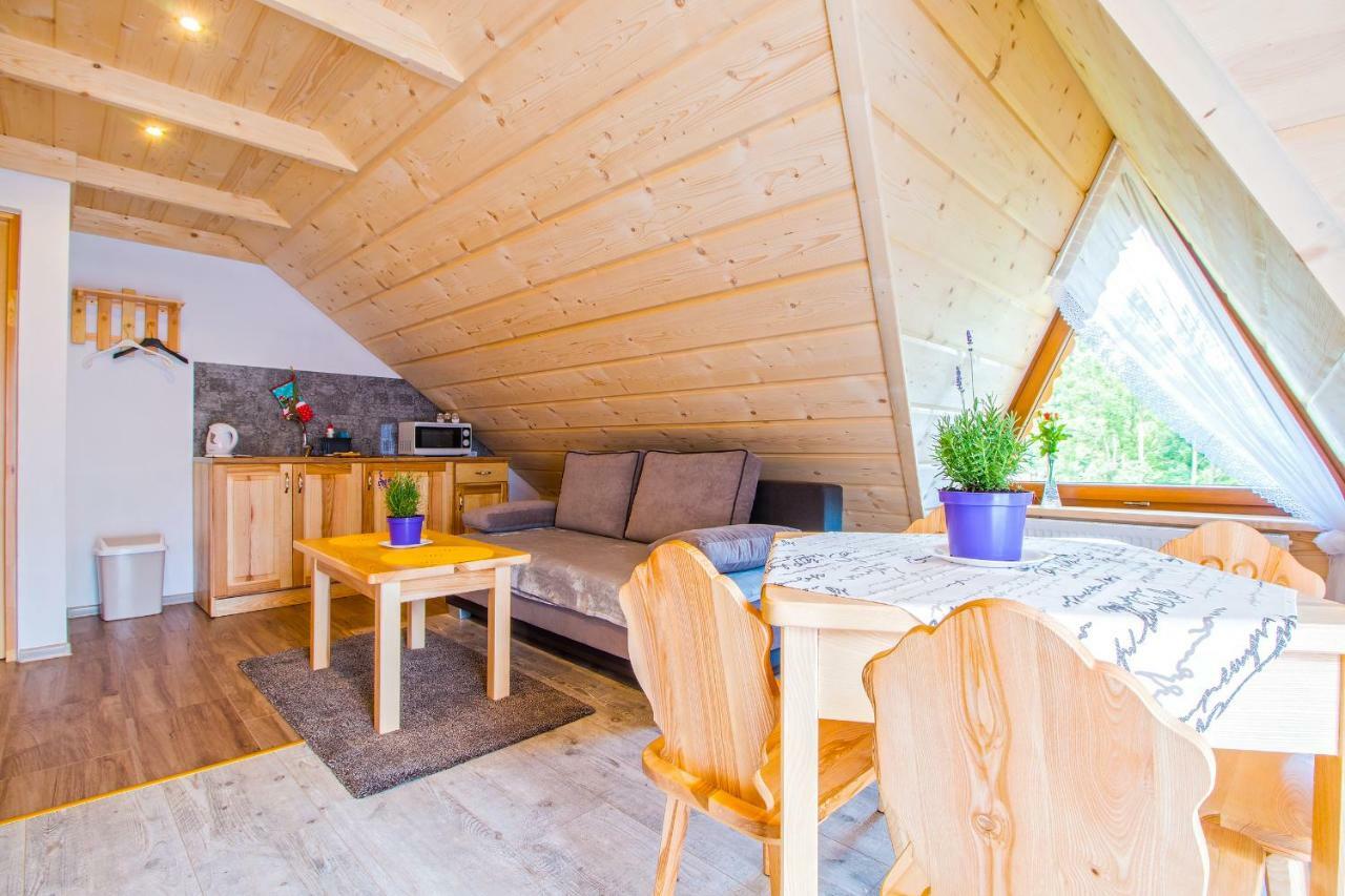 Willa Trebunia Zakopane Ngoại thất bức ảnh